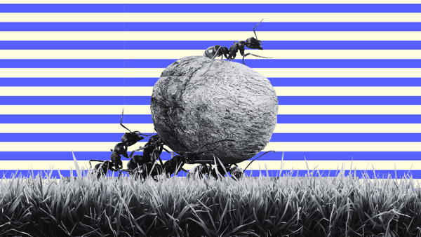 Long-Tail Advertisers Are A Quiet Growth Engine For Top Performing RMNs